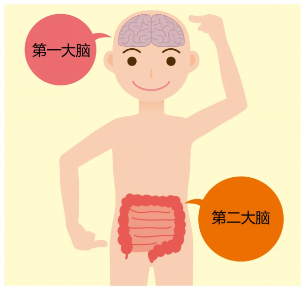 真的有易胖體質嗎？