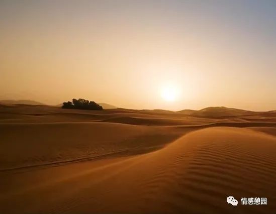 讀書筆記:(五) 讀書筆記:(五)