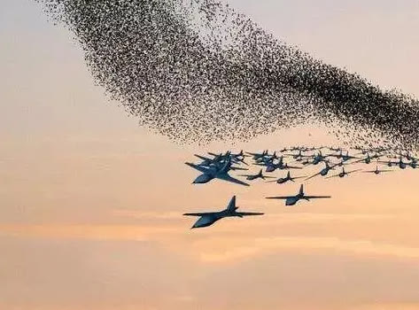 中國“蜂群”無人機有多強？搭配殲20或將統治戰場，美國毫無辦法