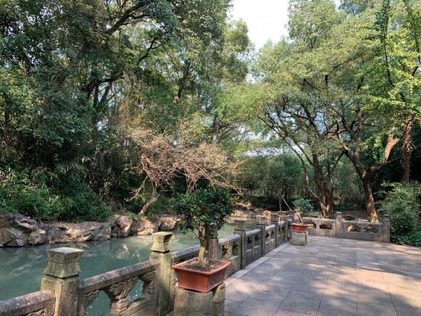 朝書聖，習天下第一行書