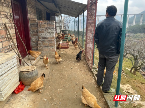 那山那人那雞舍