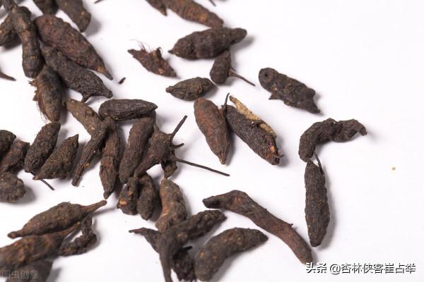 疏肝解鬱的千古名方——越鞠丸!可解氣、血、溼、食、火、痰六鬱 疏肝解鬱的千古名方——越鞠丸!可解氣、血、溼、食、火、痰六鬱