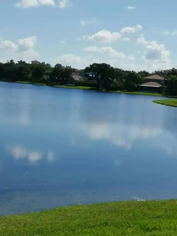 童年時的青岡山