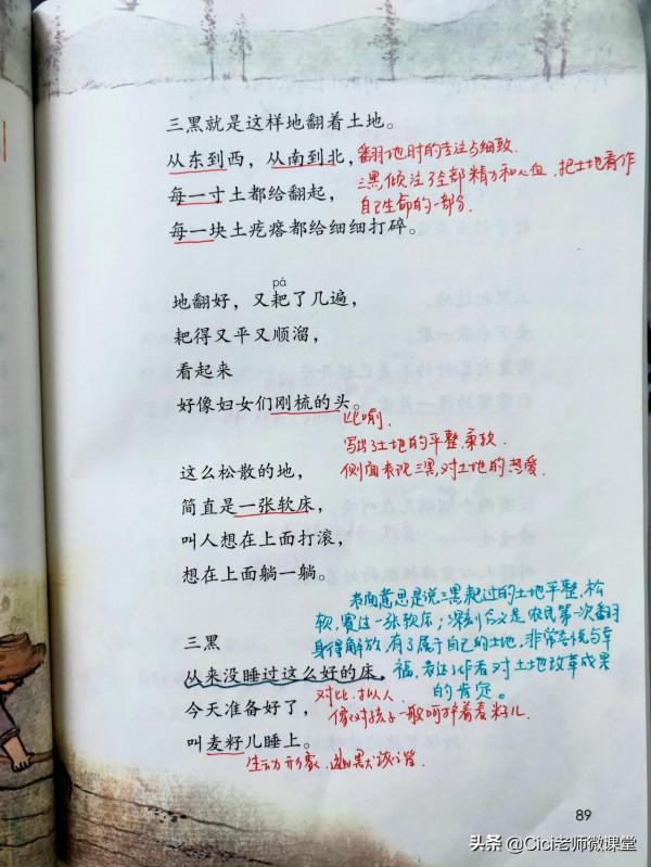 部編語文六年級上冊，20三黑和土地，課文筆記