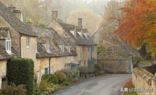 你還記得深秋英國的樣子嗎?若你還在,與你共享 你還記得深秋英國的樣子嗎?若你還在,與你共享