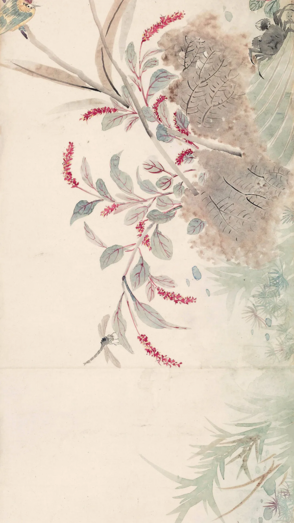 清代女子畫秋日荷塘,美醉了 清代女子畫秋日荷塘,美醉了