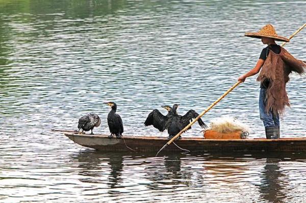 民國奇案:丈夫成植物人,妻子找2個男人搭夥過,卻都離奇死亡 民國奇案:丈夫成植物人,妻子找2個男人搭夥過,卻都離奇死亡