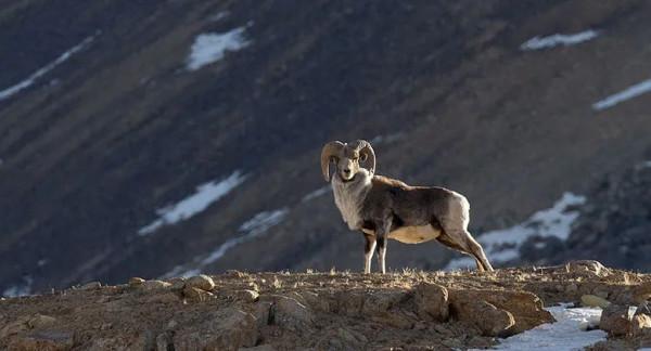 遇間旅遊 | 更新旅遊打卡地！領略大中國國家公園~我在三亞等你