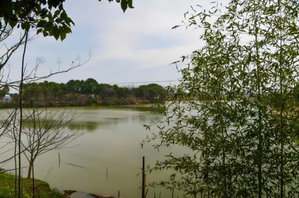 故鄉的回憶：史話官塘堰