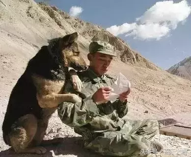 向軍人致敬！中國解放軍照片，一張張看著心碎落淚的照片