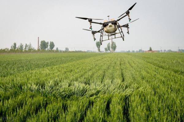 進口水溶肥越來越火爆,怎麼施用效果佳呢? 進口水溶肥越來越火爆,怎麼施用效果佳呢?