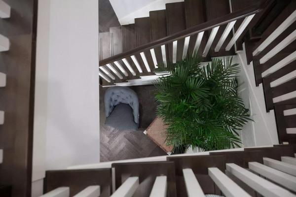 栽培植物也要看它的氣質,看看哪種花卉更適合你的家,一起來看 栽培植物也要看它的氣質,看看哪種花卉更適合你的家,一起來看