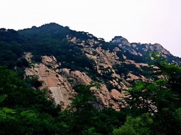 八年級：質量及其測量