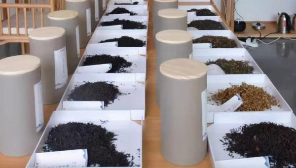 200萬噸庫存茶根本喝不完！誰能引領中國茶葉第三次產業革命？