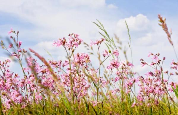 《增廣賢文》中關於調節心態的9句話