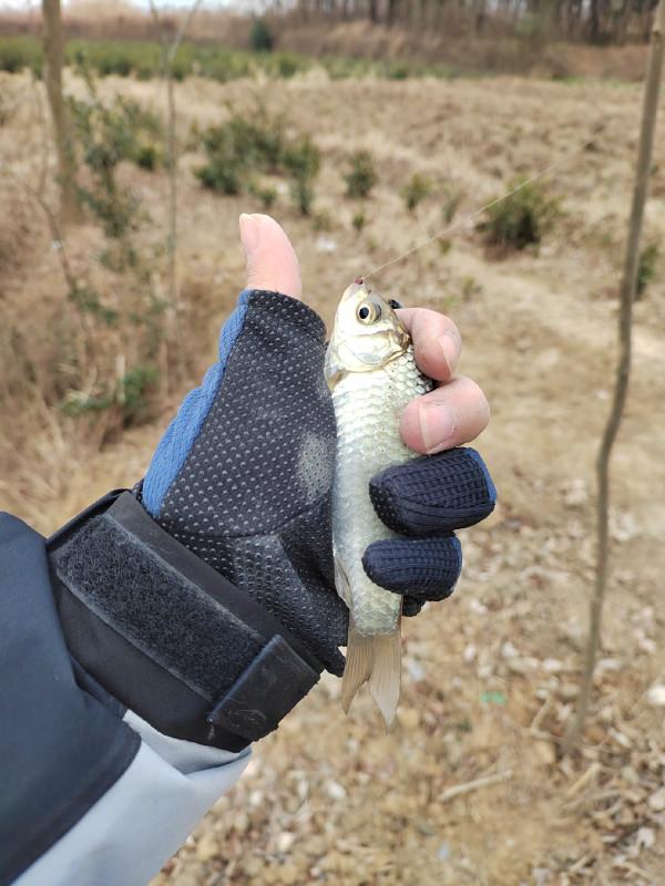 這就是菜地的魅力，夠野、夠暴力