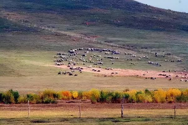 北京周邊這十條自駕路線，一年四季都可以去