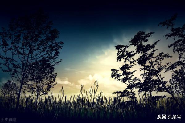 最近有點“邪” 最近有點“邪”