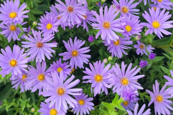 餘生，勸你別太閒