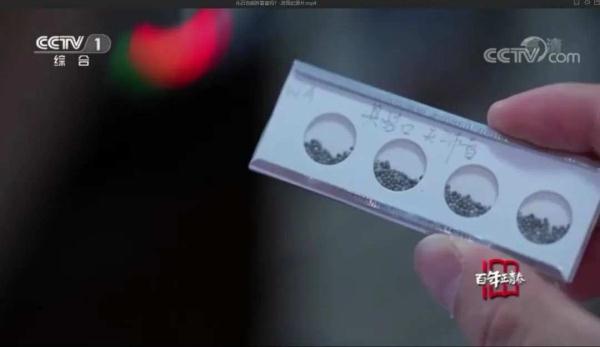 化石也能拆盲盒？