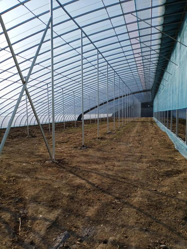 走路四年，我擁有了有趣好玩的好心情