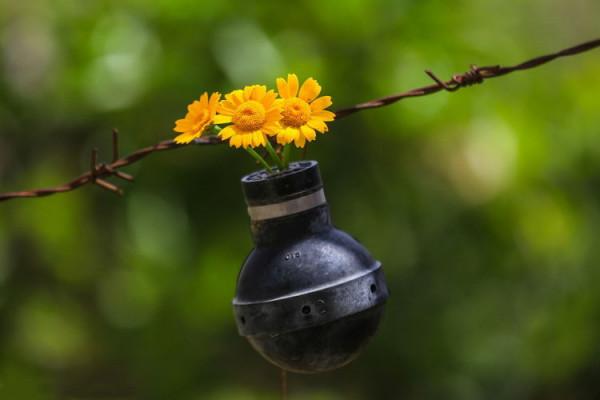 瓦斯罐裡的小花