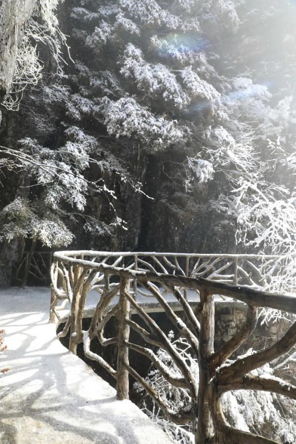 巴山大峽谷羅盤頂下大雪了，快來看被暫停住的美吧