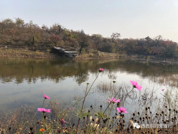 遊房山坡峰嶺 看萬山紅遍