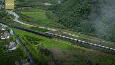 “中國最溫情火車”，1塊錢票價：有人賣菜吆喝，有人畫畫讀書…