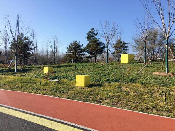 北京溫榆河公園·未來智谷,將環境藝術與科技相融合,詮釋碳中和 北京溫榆河公園·未來智谷,將環境藝術與科技相融合,詮釋碳中和