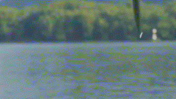 五花八門的軟蟲釣組，你知道高手們都是怎麼用的嗎？