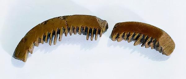 新加坡海域古沉船發現大批元青花