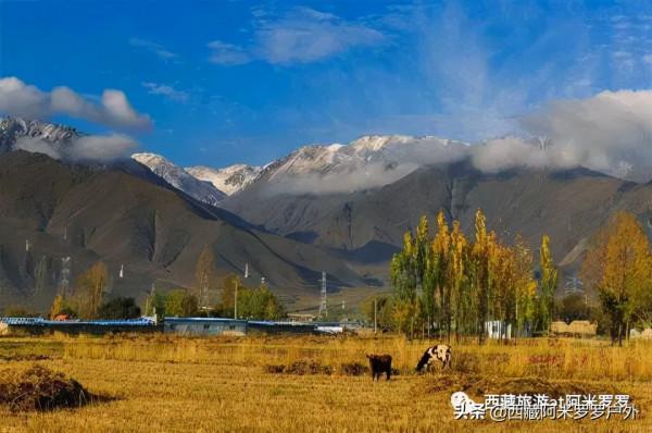 秋意濃,易遠行 秋意濃,易遠行