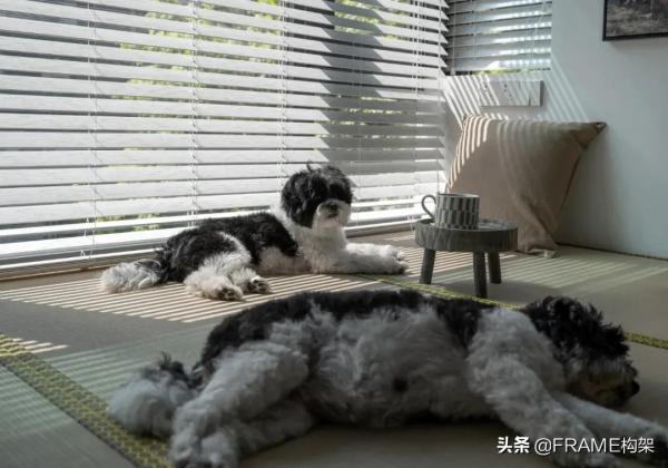住出新花樣 &vert; 10個家，一窺年輕人的居住新見解
