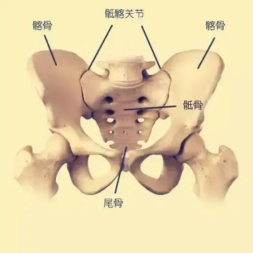 太極拳開胯之合勁，整勁。開胯系列三
