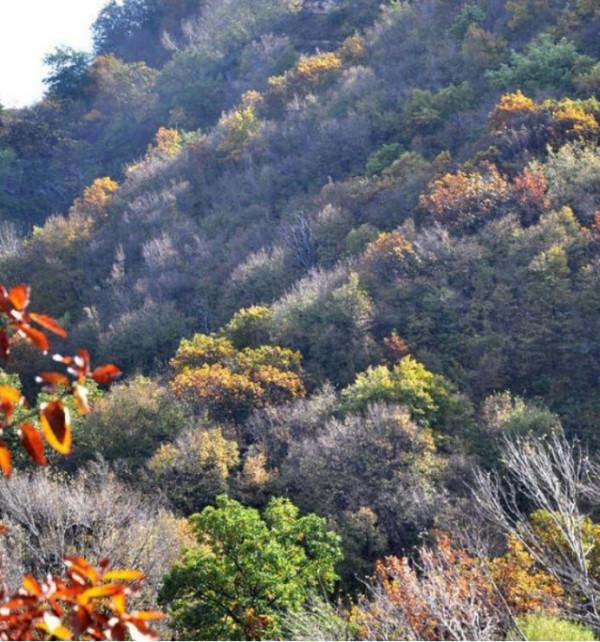 這個秋天,待疫情結束,牽手去旅行 這個秋天,待疫情結束,牽手去旅行