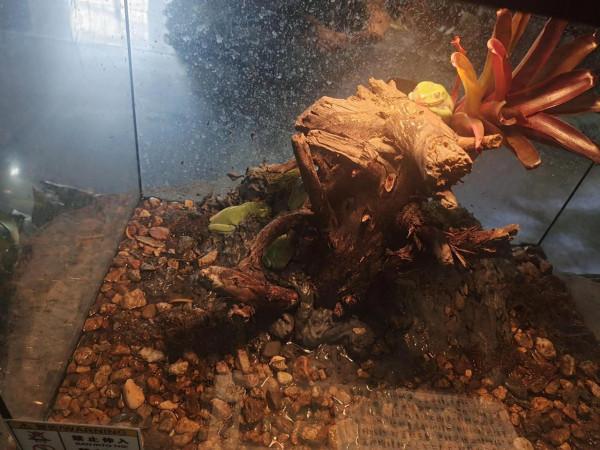 內蒙古科技館一日遊