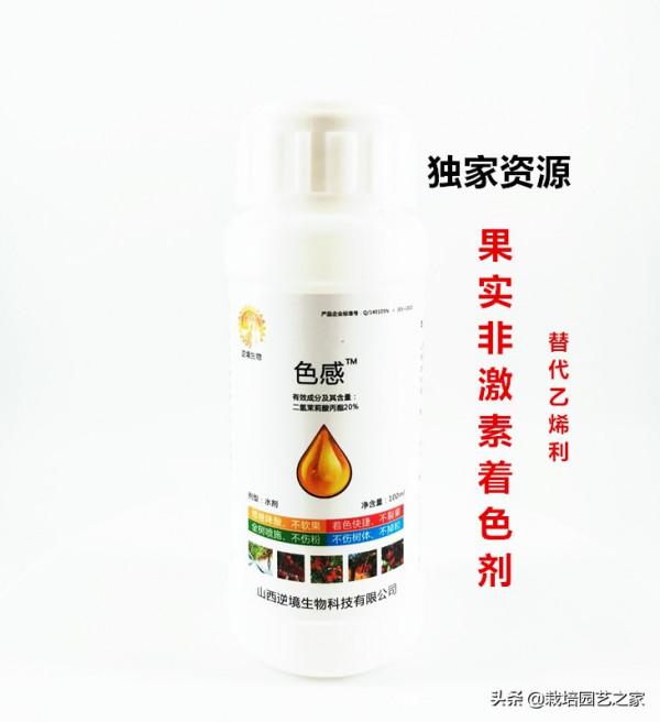 乾貨-果實轉色、增甜機理與特肥應用指導 乾貨-果實轉色、增甜機理與特肥應用指導