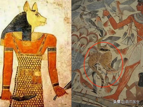 看了我太太太爺爺畫的貓後…網友:同一個物種 看了我太太太爺爺畫的貓後…網友:同一個物種