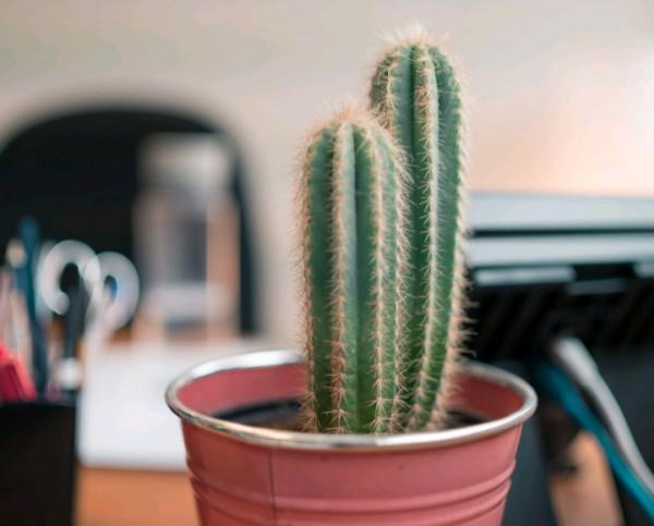 12星座的“廬山真面目”，你真的知道嗎？