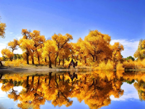 甘肅15個絕美旅行地,疫情過後,來一次吧,飽覽西北極致美景 甘肅15個絕美旅行地,疫情過後,來一次吧,飽覽西北極致美景