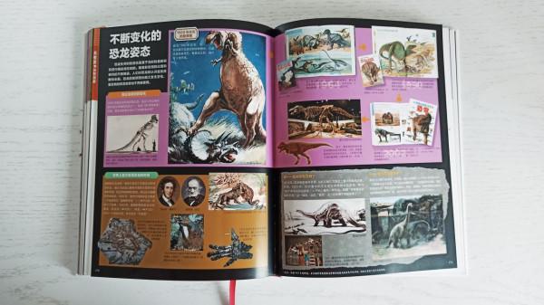 一本關於恐龍的百科書,讓孩子愛上恐龍的世界 一本關於恐龍的百科書,讓孩子愛上恐龍的世界
