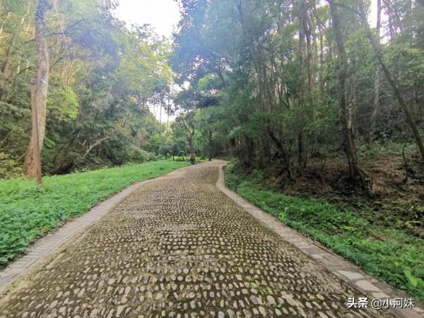 廣東粵北有座道觀，全國唯一一處以“福”字命名，其景觀更是一絕