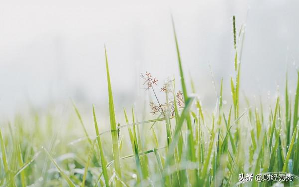 疫情2年，你還好嗎？