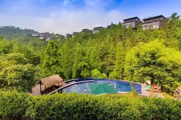 3個成功案例,1個反面借鑑案例 3個成功案例,1個反面借鑑案例