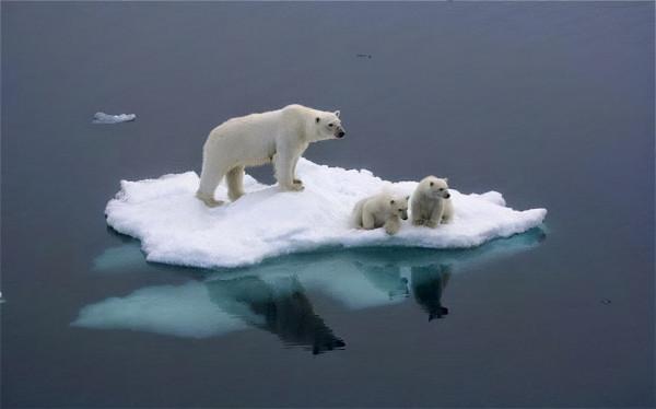 美末日戰機借湯加火山爆發演練核大戰？再論湯加火山5大戰略巧合