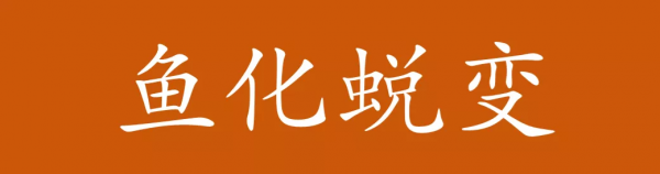 喧譁與騷動:我們該如何評價魚化寨“蛻變”? 喧譁與騷動:我們該如何評價魚化寨“蛻變”?
