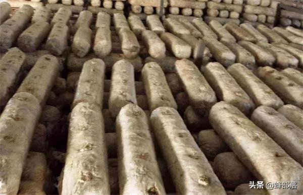 有人花錢在農村專門收購舊木頭，舊木頭有啥用途？5個用途要了解