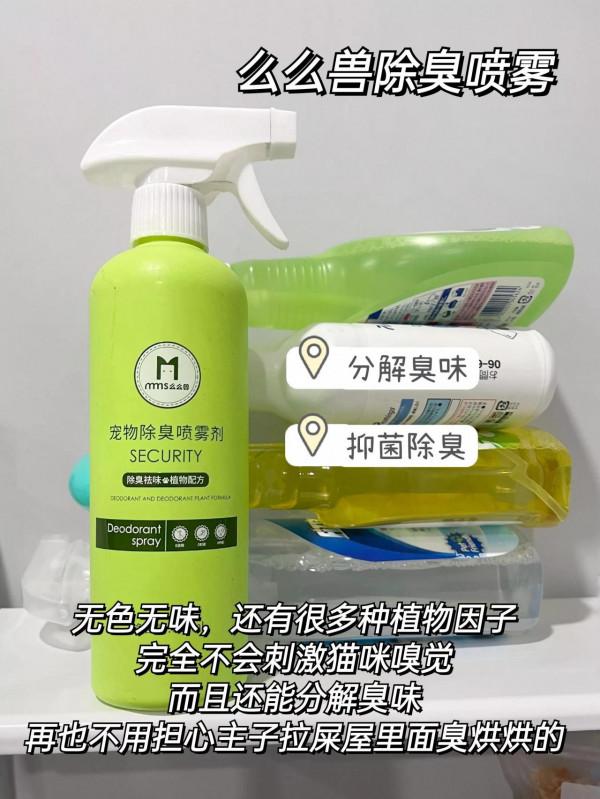 一步教你如何養貓無異味！別說不會