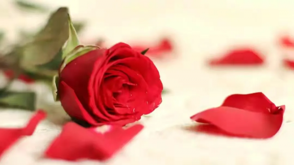 六十歲的樊大媽：我沒有一分錢的退休金，卻天天都活得非常開心